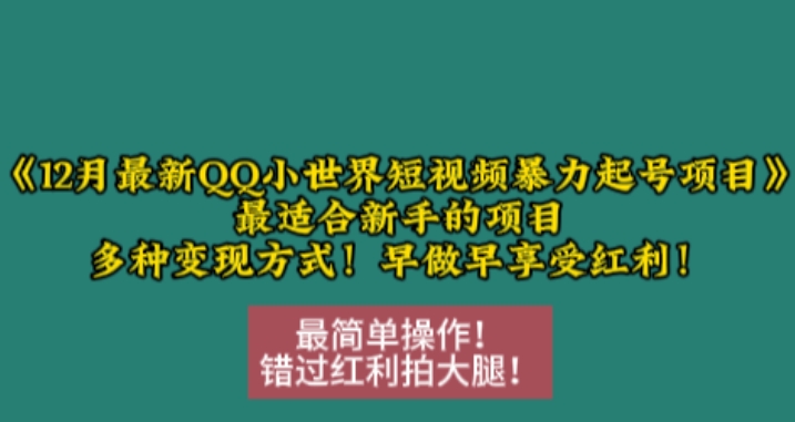 12月最新QQ小世界短视频暴力起号项目，最适合新手的项目，多种变现方式-第1张图片-我要自学网