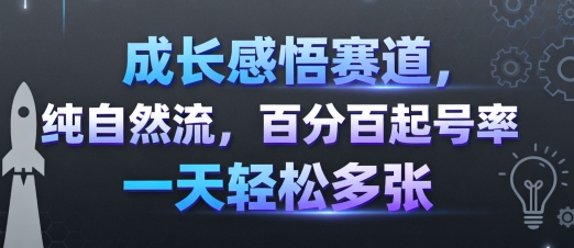 成长感悟赛道，纯自然流，百分百起号率 一天轻松多张-第1张图片-我要自学网