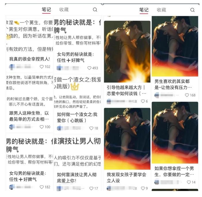 黄岛主·小红书绿茶计划情感虚拟资料变现项目，花我598买来拆解出来给你-第3张图片-我要自学网