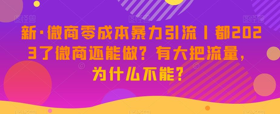 新·微商零成本暴力引流丨都2023了微商还能做？有大把流量，为什么不能？-第1张图片-我要自学网