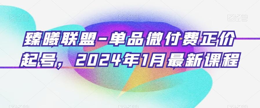 臻曦联盟-单品微付费正价起号，2024年1月最新课程-第1张图片-我要自学网