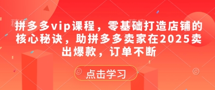 拼多多vip课程,零基础打造店铺的核心秘诀,助拼多多卖家在2025卖出爆款,订单不断-第1张图片-我要自学网 拼多多vip课程,零基础打造店铺的核心秘诀,助拼多多卖家在2025卖出爆款,订单不断-第1张图片-我要自学网