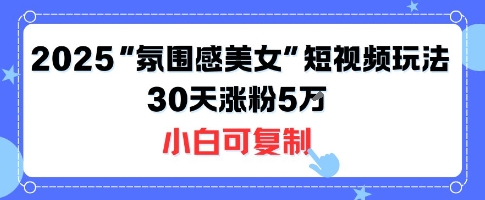 不露脸也能火！2025“氛围感美女”短视频玩法，30天涨粉5W小白可复制-第1张图片-我要自学网