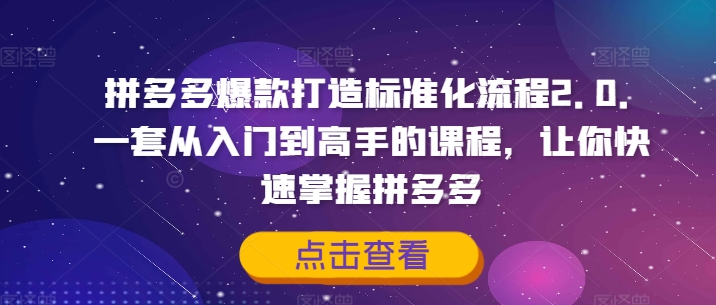 拼多多爆款打造标准化流程2.0，一套从入门到高手的课程，让你快速掌握拼多多-第1张图片-我要自学网