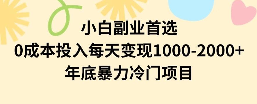小白副业首选，0成本投入，每天变现1000-2000年底暴力冷门项目【揭秘】-第1张图片-我要自学网