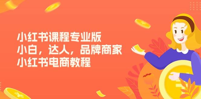 小红书课程专业版，小白，达人，品牌商家，小红书电商教程(15节-第1张图片-我要自学网
