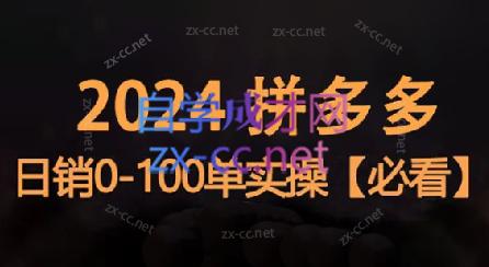 恒哥·2024拼多多日销0-100单实操-第1张图片-我要自学网