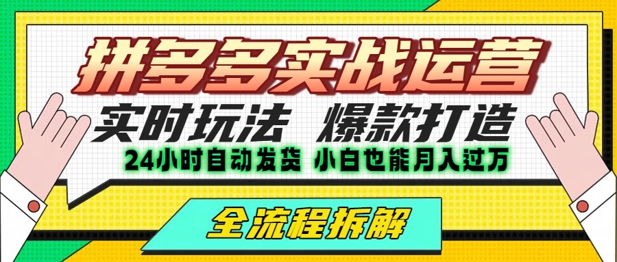 拼多多最新实战运营高投产：长久稳定项目，单店利润一天三位数-第1张图片-我要自学网