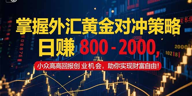 掌握外汇黄金对冲策略,日赚 800 – 2000,小众高回报创业机会,助你实…-第1张图片-我要自学网 掌握外汇黄金对冲策略,日赚 800 – 2000,小众高回报创业机会,助你实…-第1张图片-我要自学网