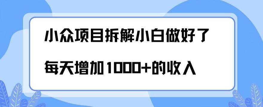 小众项目拆解，小白做好了每天可增加1000多的收入-第1张图片-我要自学网