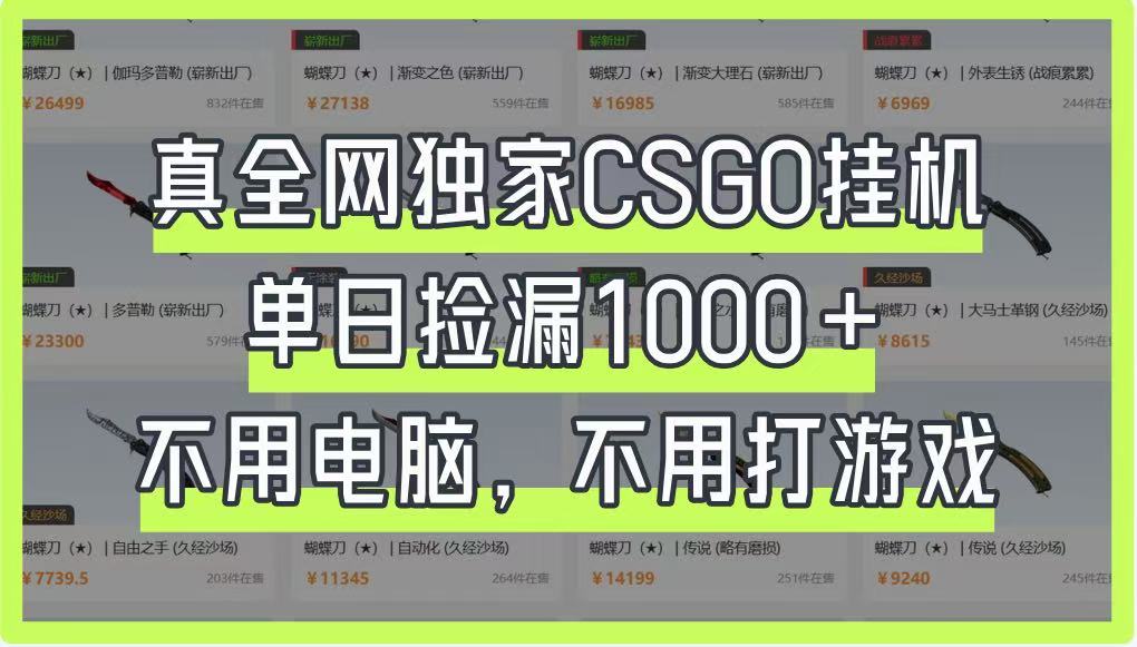真全网独家CSGO挂机，单日捡漏1000+，不用电脑，不用养号-第1张图片-我要自学网