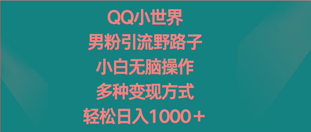 QQ小世界男粉引流野路子，小白无脑操作，多种变现方式轻松日入1000＋-第1张图片-我要自学网