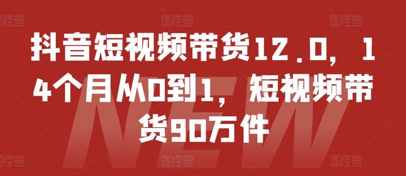 抖音短视频带货12.0，14个月从0到1，短视频带货90万件-第1张图片-我要自学网