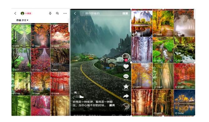 黄岛主副业拆解：抖音风景号视频变现副业项目，一条龙玩法分享给你-第2张图片-我要自学网