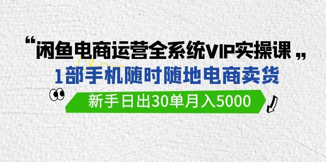 (9547期)闲鱼电商运营全系统VIP实战课，1部手机随时随地卖货，新手日出30单月入5000-第1张图片-我要自学网