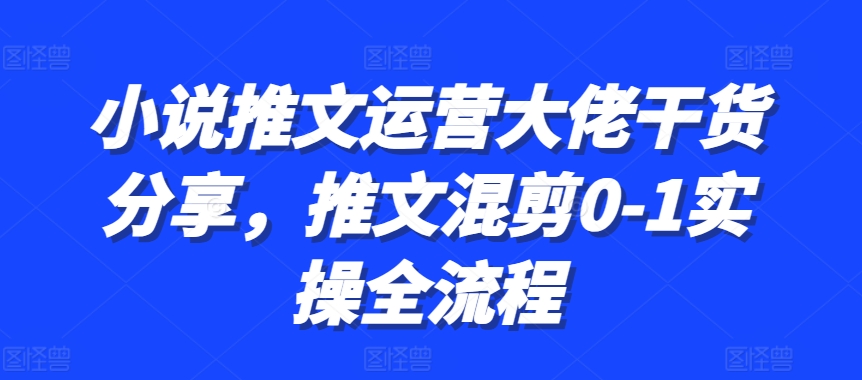 小说推文运营大佬干货分享，推文混剪0-1实操全流程-第1张图片-我要自学网