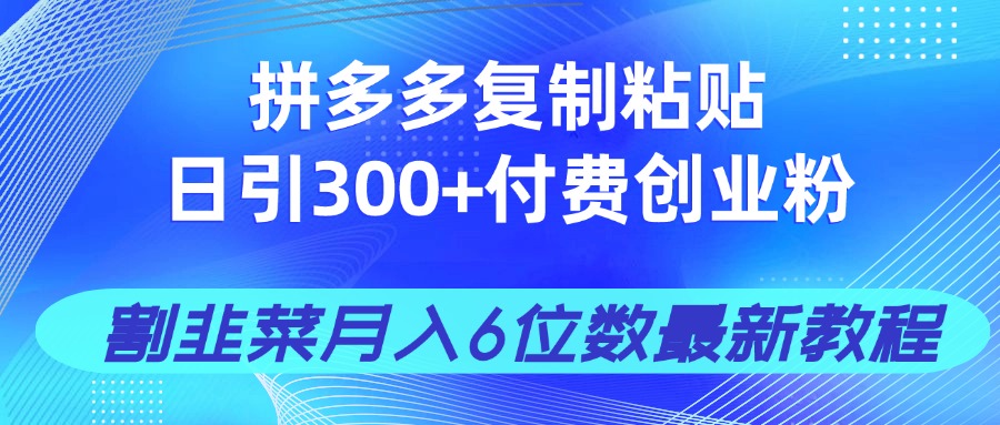拼多多复制粘贴日引300+付费创业粉，割韭菜月入6位数最新教程！-第1张图片-我要自学网