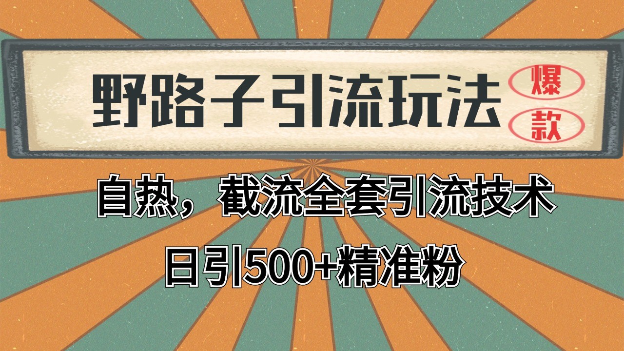 2024首发野路子引流玩法截流自热全平台打法，全自动引流【日引2000+精准客户】-第1张图片-我要自学网
