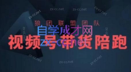 狼团联盟·2024视频号带货-第1张图片-我要自学网