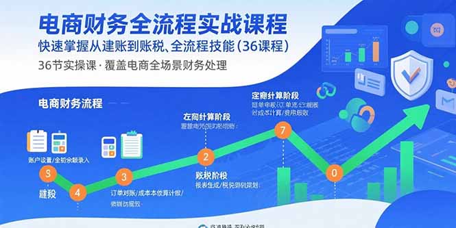 电商财务全流程实战课程：快速掌握从建账到报税的全流程技能(36节课-第1张图片-我要自学网