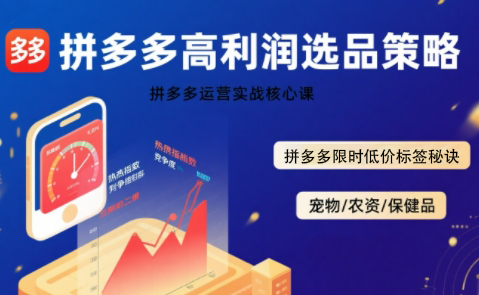 久号老师·拼多多选品暴利技术实战课-第1张图片-我要自学网 久号老师·拼多多选品暴利技术实战课-第1张图片-我要自学网