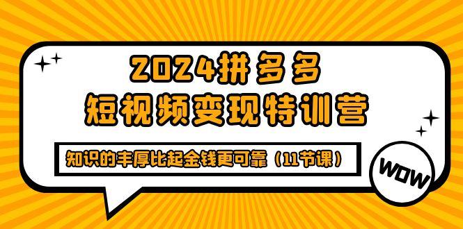 (9817期)2024拼多多短视频变现特训营，知识的丰厚比起金钱更可靠(11节课)-第1张图片-我要自学网