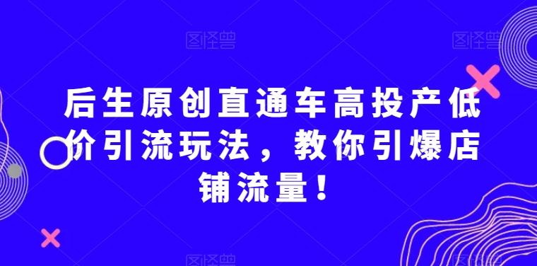后生原创直通车高投产低价引流玩法，教你引爆店铺流量！-第1张图片-我要自学网