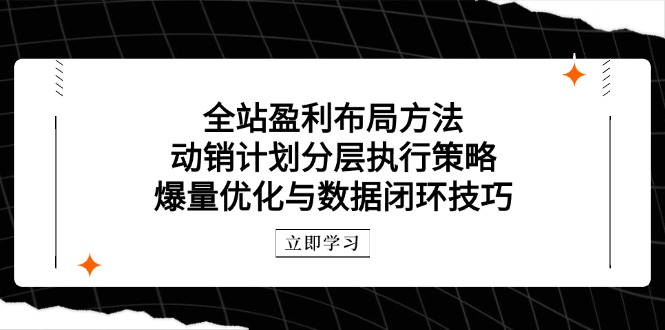 全站盈利布局方法：动销计划分层执行策略，爆量优化与数据闭环技巧-第1张图片-我要自学网