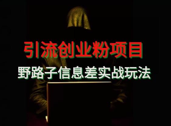【引流创业粉】野路子信息差玩法实战教学-第1张图片-我要自学网