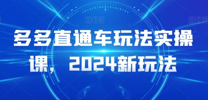 多多直通车玩法实操课，2024新玩法-第1张图片-我要自学网