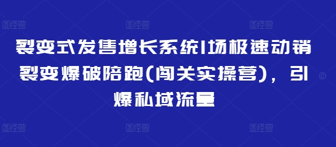 裂变式发售增长系统1场极速动销裂变爆破陪跑(闯关实操营)，引爆私域流量-第1张图片-我要自学网