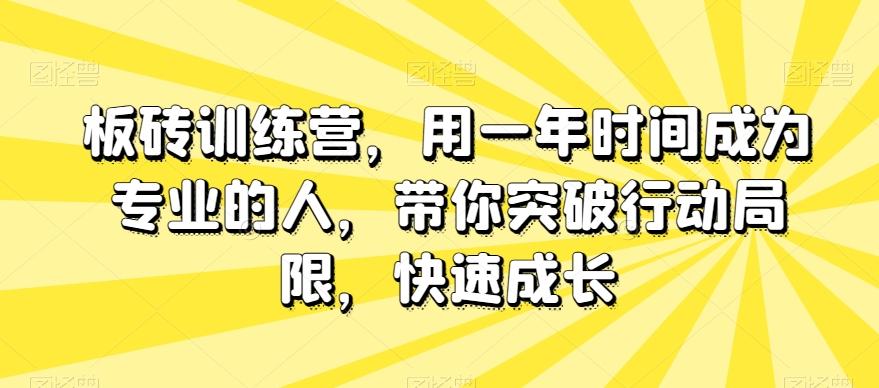 板砖训练营，用一年时间成为专业的人，带你突破行动局限，快速成长-第1张图片-我要自学网