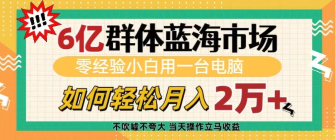 6亿群体蓝海市场，零经验小白用一台电脑，如何轻松月入过w【揭秘】-第1张图片-我要自学网