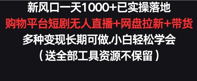 新风口一天1000+已实操落地购物平台短剧无人直播+网盘拉新+带货多种变现长期可做【揭秘】-第1张图片-我要自学网