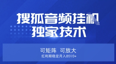 【搜狐音频挂G】独家技术，可矩阵可放大，红利期稳定月入8k【揭秘】-第1张图片-我要自学网