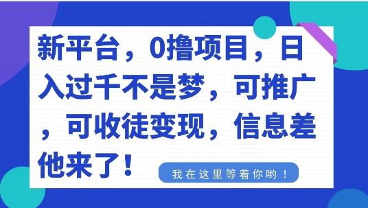 不要再花冤枉钱了，0撸项目，每天坚持，稳定1000+-第1张图片-我要自学网