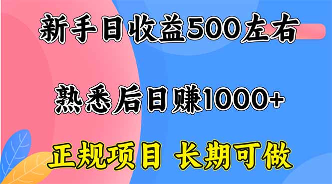 新手日收益500+ 正规项目 长期可做-第1张图片-我要自学网