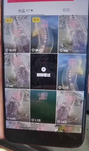 外面卖399的国学佛像原创暴力起号技术,快速起号,7天可达到一个万粉号-第2张图片-我要自学网 外面卖399的国学佛像原创暴力起号技术,快速起号,7天可达到一个万粉号-第2张图片-我要自学网