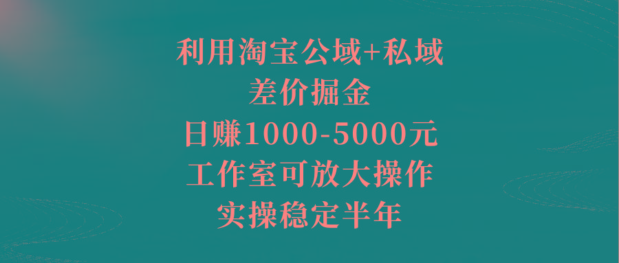 利用淘宝公域+私域差价掘金，日赚1000-5000元，工作室可放大操作，实操…-第1张图片-我要自学网