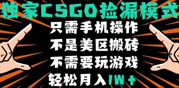CSGO自动捡漏项目，最新独家玩法，不是美区搬砖，不需要了解和玩游戏，新手小白轻松月入1W+【揭秘】-第1张图片-我要自学网