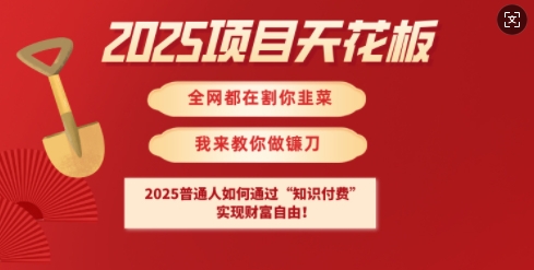2025项目天花板普通人如何通过知识付费，实现财F自由【揭秘】-第1张图片-我要自学网