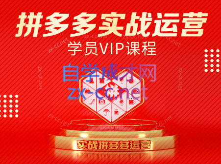 推易电商·拼多多实战运营课(更新2025月)-第1张图片-我要自学网 推易电商·拼多多实战运营课(更新2025月)-第1张图片-我要自学网