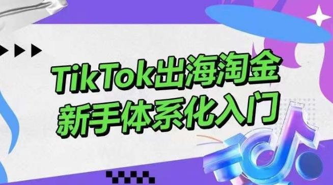 TikTok出海淘金，新手体系化入门，零基础快速入门，掌握短视频、直播带货等引流到变现的知识-第1张图片-我要自学网