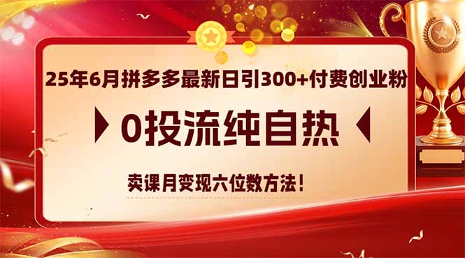 25年6月拼多多最新日引300+付费创业粉，0投流纯自热 卖课月变现六位数方法-第1张图片-我要自学网