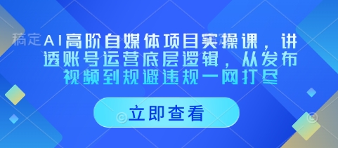 AI高阶自媒体项目实操课，讲透账号运营底层逻辑，从发布视频到规避违规一网打尽-第1张图片-我要自学网