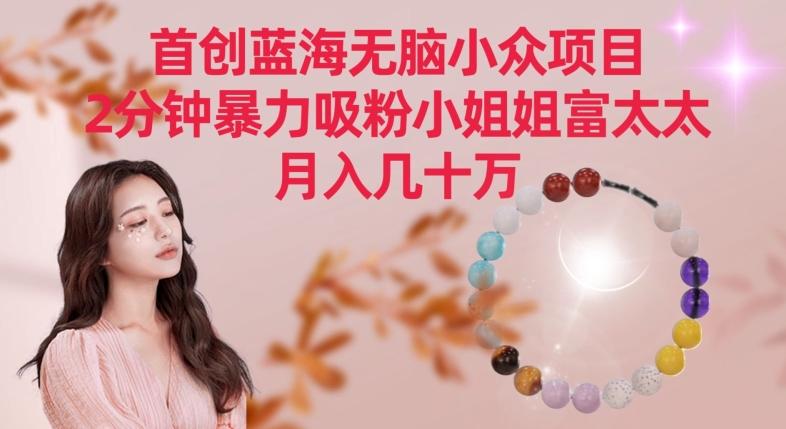 首创蓝海无脑小众项目，2分钟暴力吸粉小姐姐富太太，月入几十万【揭秘】-第1张图片-我要自学网