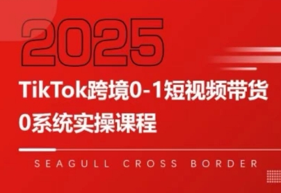 大亿老师·TikTok跨境0-1短视频带货-第1张图片-我要自学网