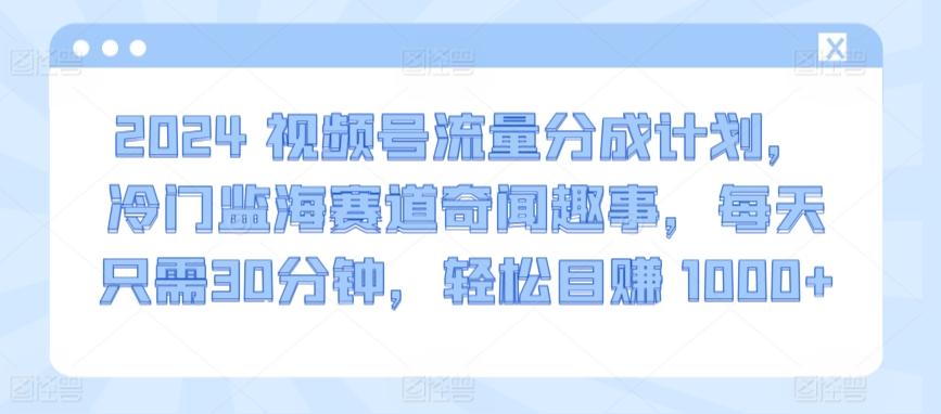 2024视频号流量分成计划，冷门监海赛道奇闻趣事，每天只需30分钟，轻松目赚 1000+【揭秘】-第1张图片-我要自学网