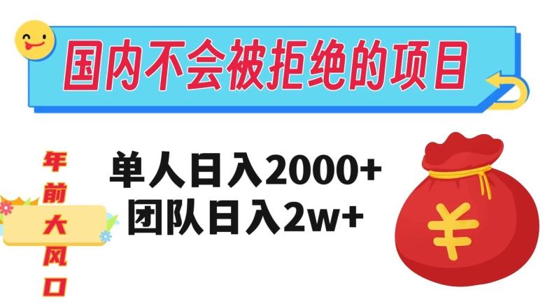 在国内不怕被拒绝的项目，单人日入2000，团队日入20000+【揭秘】-第1张图片-我要自学网