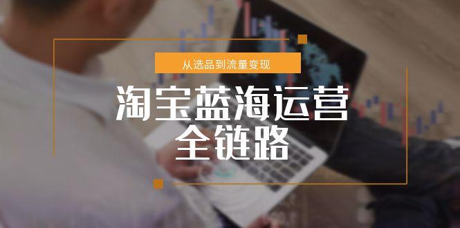 淘宝蓝海运营全链路，从选品到流量变现，小类目突围完整方案-第1张图片-我要自学网